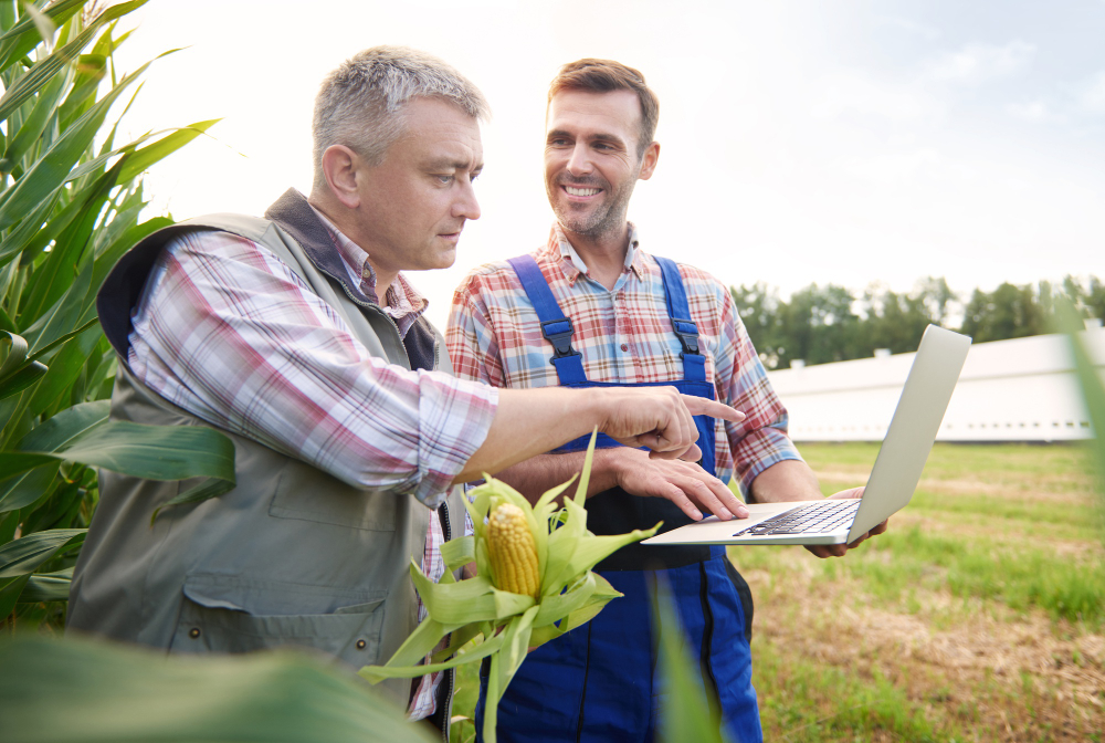 In der digitalen Landwirtschaft stehen zwei Männer auf einem Maisfeld und geben etwas digital im Laptop ein