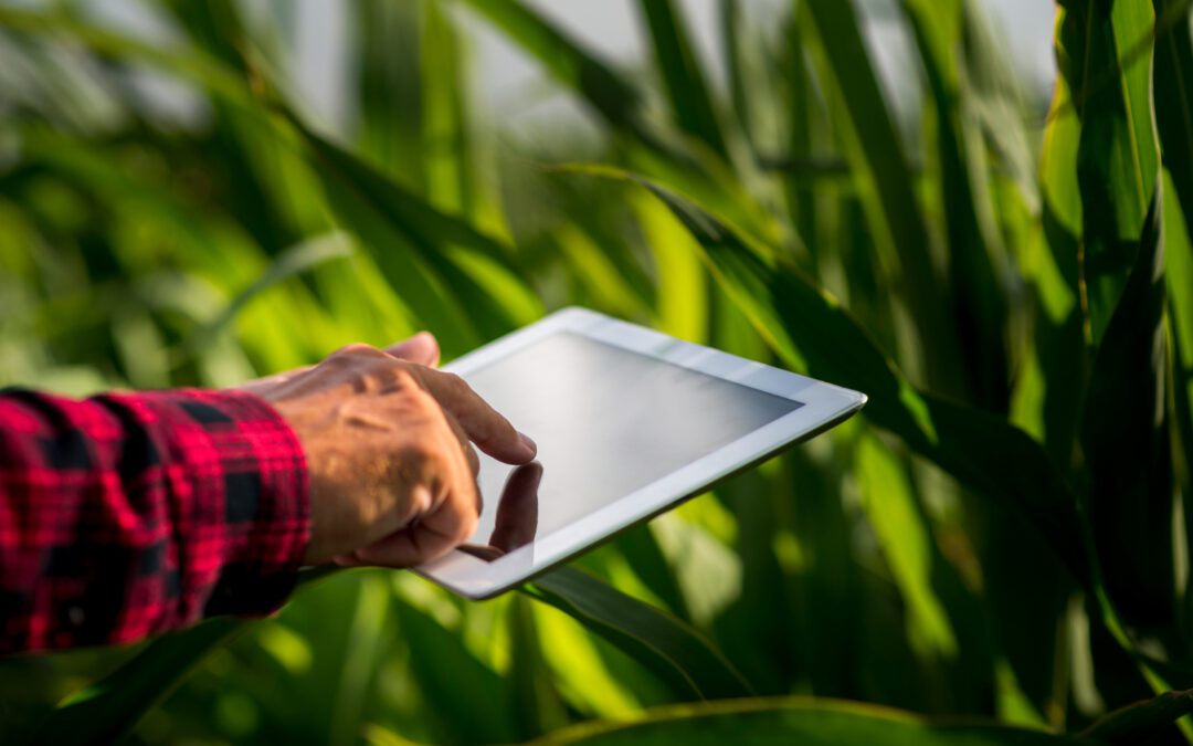 So transformieren Sie Ihre Farm: Mit digitaler Verwaltung zur Spitze der Landwirtschaft!